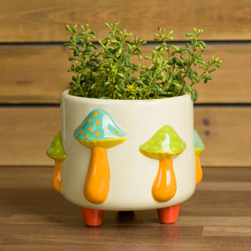 Mushroom Footed Container - Case of 6